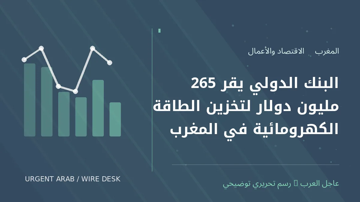 رسم تحريري أصلي غير فوتوغرافي يرمز إلى موضوع: البنك الدولي يقر 265 مليون دولار لتخزين الطاقة الكهرومائية في المغرب