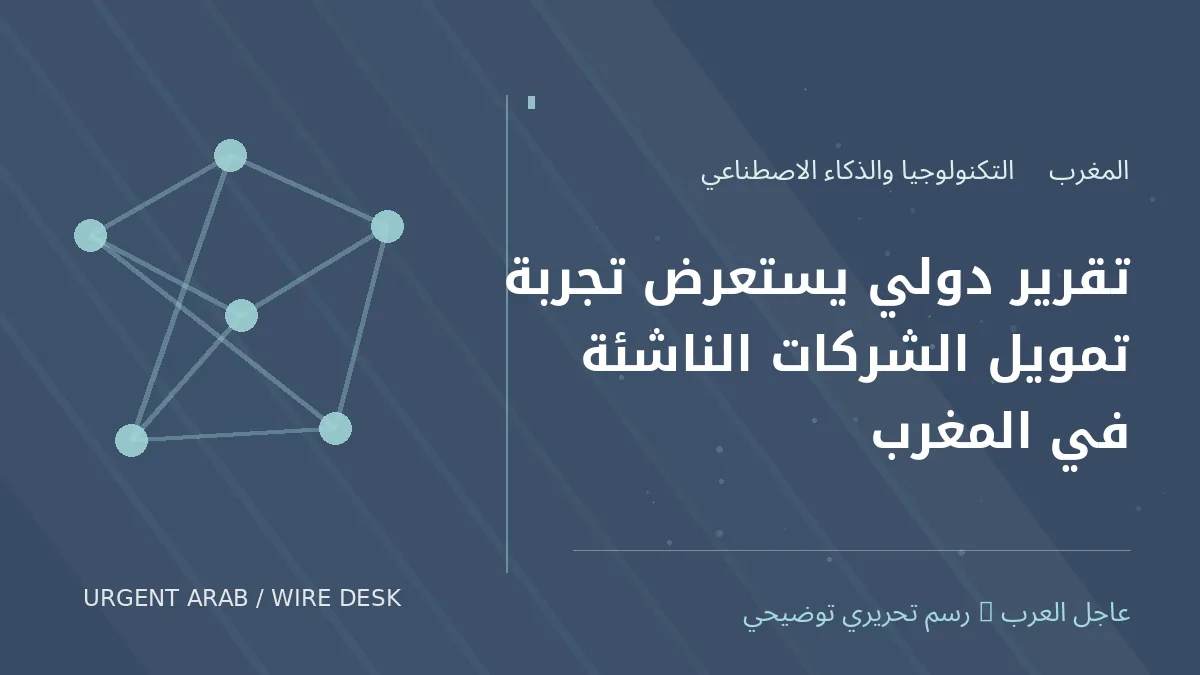 رسم توضيحي أصلي غير فوتوغرافي: تقرير دولي يستعرض تجربة تمويل الشركات الناشئة في المغرب